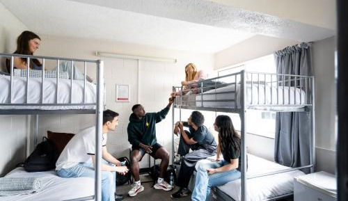 Bed in 6 Bed Mixed Dormitory Room