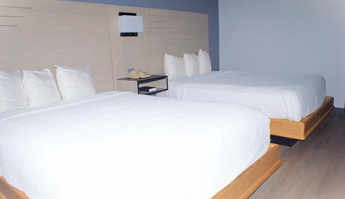 2 Queen Beds Pet Friendly