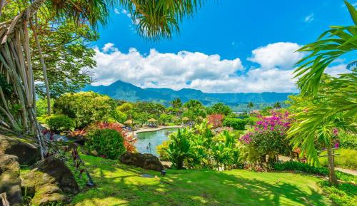 Studio Apartment with King Bed