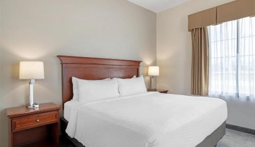 Deluxe Family King Suite with Sofa Bed - Non-Smoking