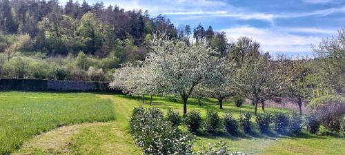 One-Bedroom Apartment with Garden
