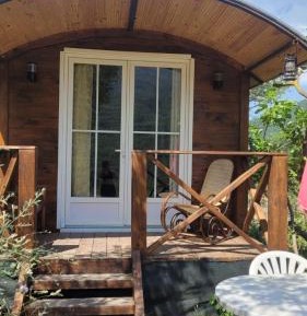 Mobile Home