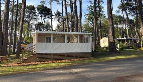Mobile Home