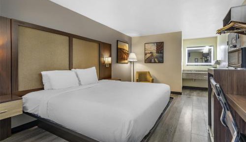 King Room - Pet Friendly/Non-Smoking