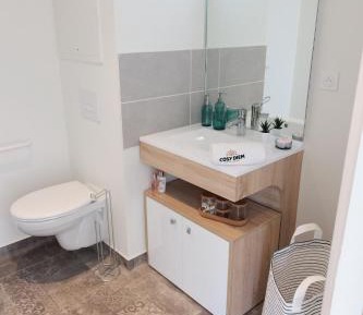 Deluxe One-Bedroom Apartment