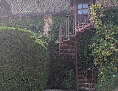 Comfort Quadruple Room