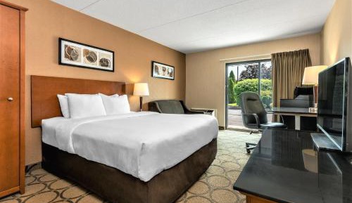 Deluxe Queen Room - Ground Floor 