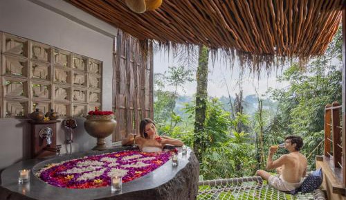 Honeymooner Rain Forest Jungle Cabin with Free Mini-bar 