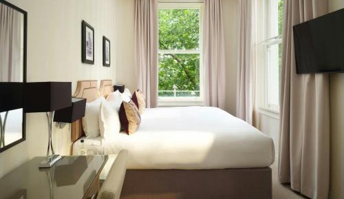 Executive Double, Guest room, 1 King