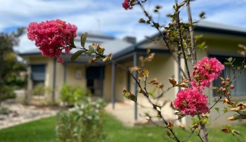 Twin Room with Garden View