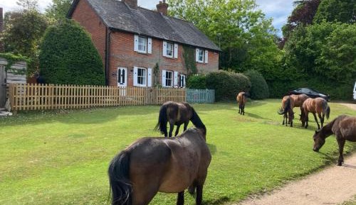 Three-Bedroom Cottage