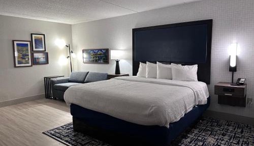 King Room with Sofa Bed and Study - Non-Smoking