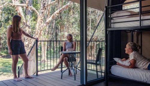 Bed in 6-Share Mix Safari Tent