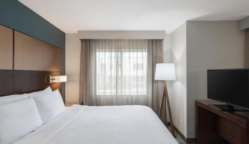 King Studio with Sofa Bed