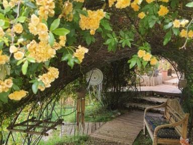 Double Room with Garden View