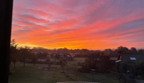Junior Suite with Garden View