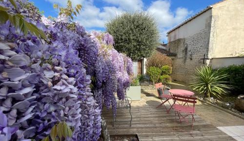 Family Room with Garden View