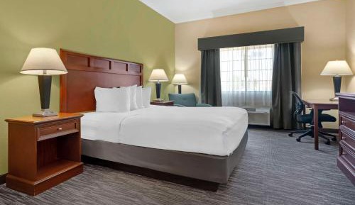 King Room with Roll-In Shower - Mobility Access