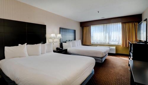 Standard Double Room with Two Double Beds