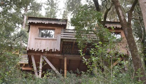Family Cabin with Shower - 7 People