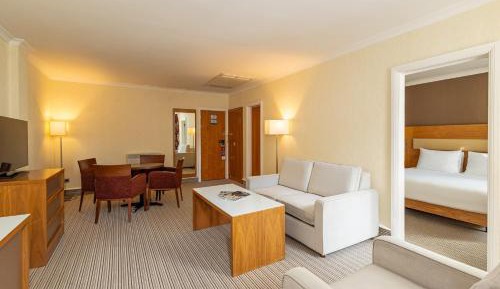 One-Bedroom King Suite