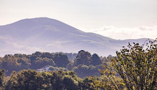 Junior Suite with Terrace