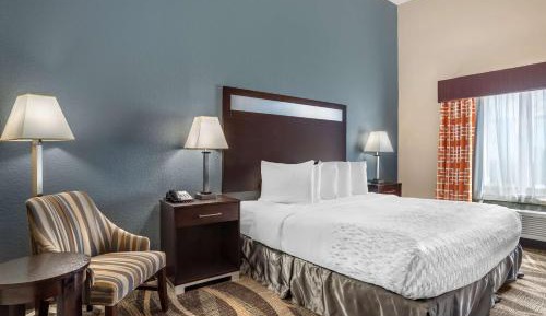 King Suite with Sofa Bed - Pet Friendly/Non-Smoking