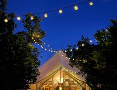Tent