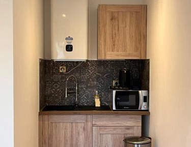 Studio Apartment with King Bed