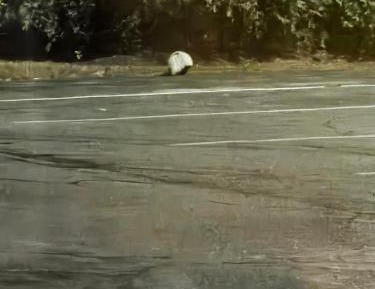 Three-Bedroom Chalet