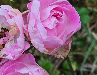 Double or Twin Room with Private Bathroom