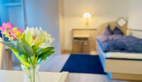 Superior Single Room