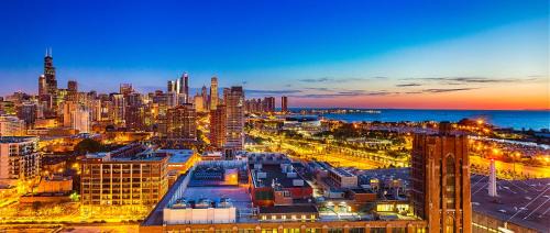 One-Bedroom Executive Suite 