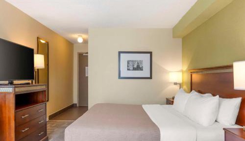 Standard King Room with Sofa Bed - Non-Smoking
