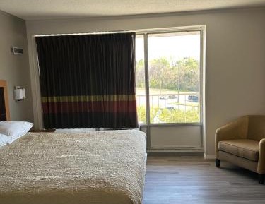 King Room - Non-Smoking