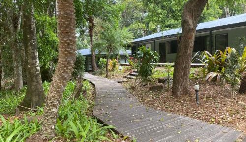 Cabin with Forest View