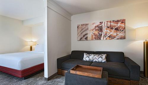 King Suite with Roll-In Shower and Trundle Sofa - Mobility Access/Hearing Accessible