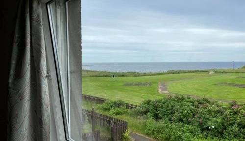 One-Bedroom Court Yard Apartment