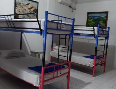 Bunk Bed in Mixed Dormitory Room