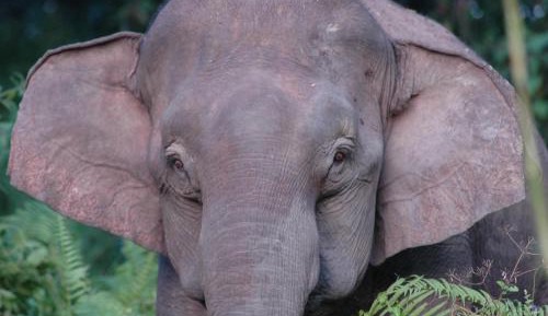 Budget Double or Twin Room