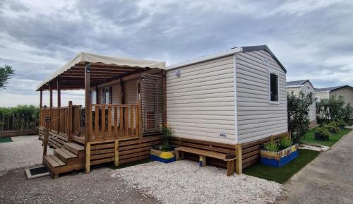 Mobile Home