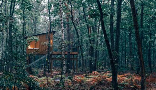 Queen Room with Spa Bath