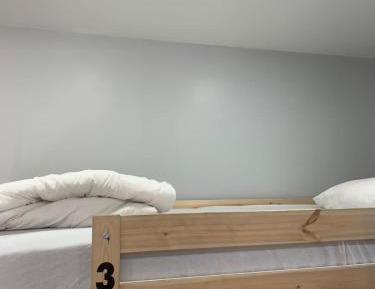 Bunk Bed in Mixed Dormitory Room