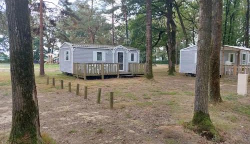 Mobile Home
