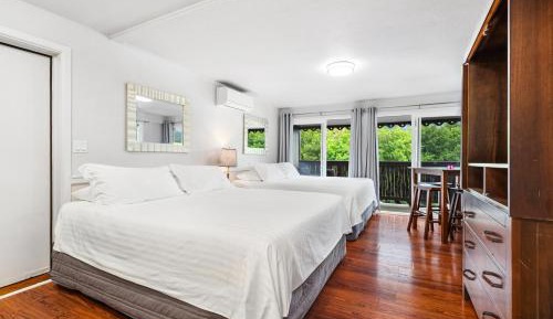 Studio with Two King Beds