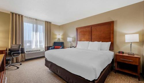 King Room - Non-Smoking