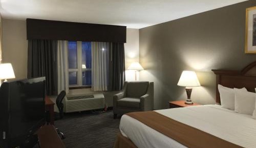 King Room - Pet Friendly/Non-Smoking
