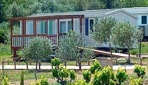 Mobile Home