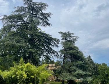 Double Room with Garden View