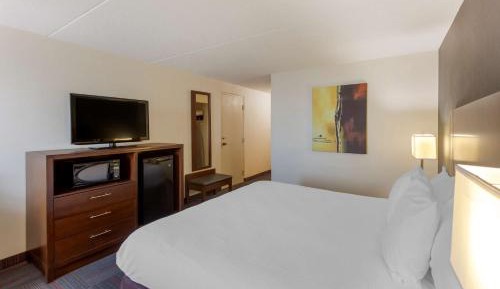 King Room with Walk-In Shower - Mobility Accessible